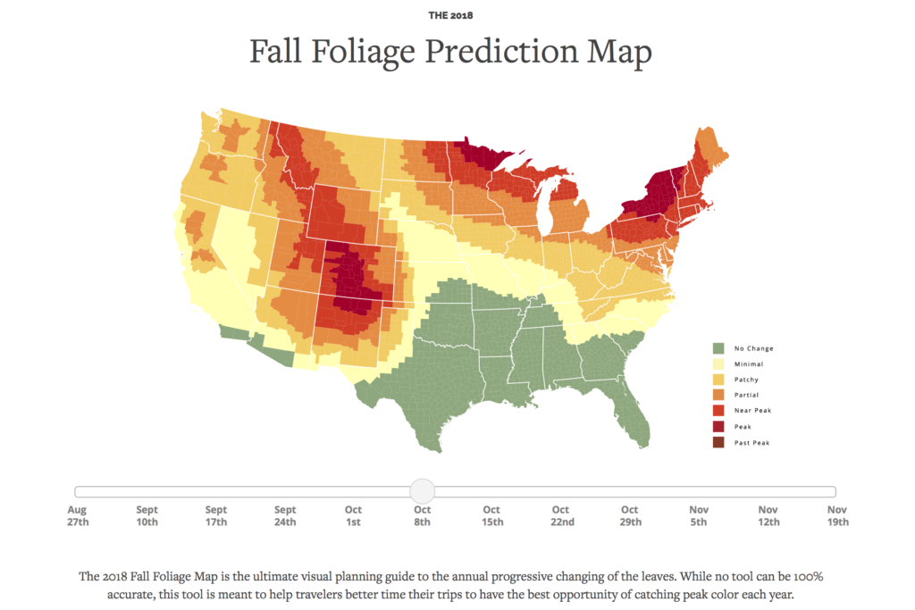 Fall Foliage Tips – Complete Digital Photography